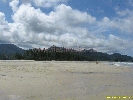 IMG_3320.jpg