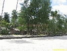 IMG_3324.jpg