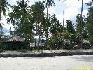 IMG_3325.jpg