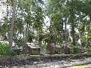 IMG_3326.jpg