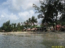IMG_3331.jpg