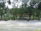 IMG_3332.jpg