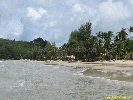 IMG_3334.jpg