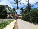 IMG_3345.jpg
