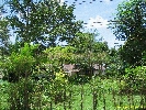 IMG_3346.jpg