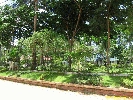 IMG_3348.jpg