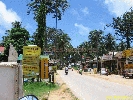IMG_3349.jpg