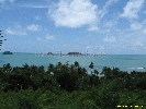 IMG_3352.jpg