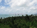 IMG_3353.jpg