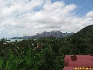 IMG_3354.jpg
