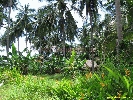 IMG_3355.jpg
