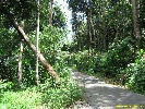 IMG_3356.jpg