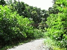 IMG_3357.jpg