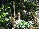 IMG_3359.jpg