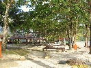 IMG_3361.jpg