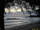 IMG_3371.jpg