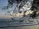 IMG_3372.jpg