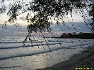 IMG_3373.jpg