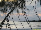 IMG_3374.jpg