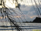 IMG_3375.jpg