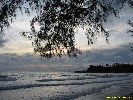 IMG_3376.jpg