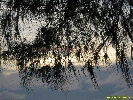 IMG_3377.jpg