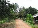 IMG_3386.jpg