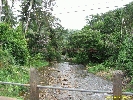 IMG_3389.jpg