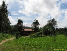IMG_3391.jpg