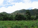 IMG_3392.jpg