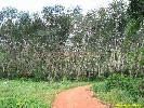 IMG_3393.jpg