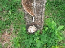 IMG_3395.jpg