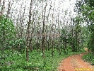 IMG_3396.jpg
