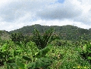 IMG_3397.jpg