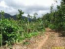 IMG_3399.jpg