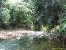 IMG_3401.jpg