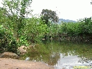 IMG_3402.jpg