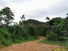 IMG_3403.jpg
