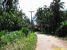 IMG_3405.jpg