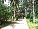 IMG_3406.jpg