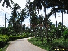 IMG_3407.jpg