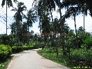 IMG_3408.jpg