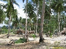 IMG_3411.jpg