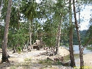 IMG_3412.jpg