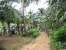 IMG_3501.jpg