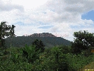 IMG_3502.jpg