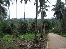 IMG_3503.jpg