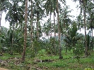 IMG_3504.jpg