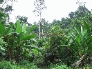 IMG_3506.jpg