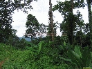 IMG_3509.jpg